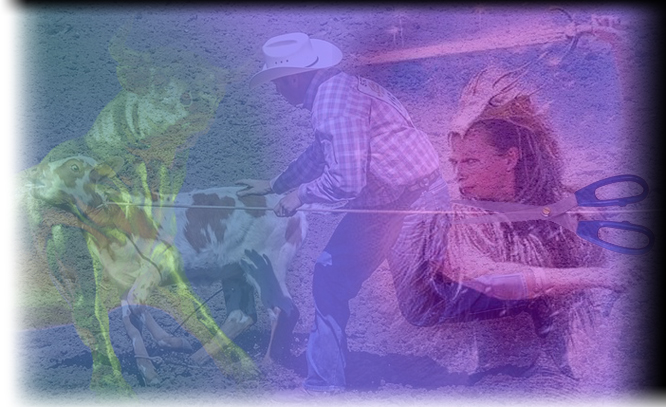 Tod den Tier-Quälern, -Schlechtern und -Fressern